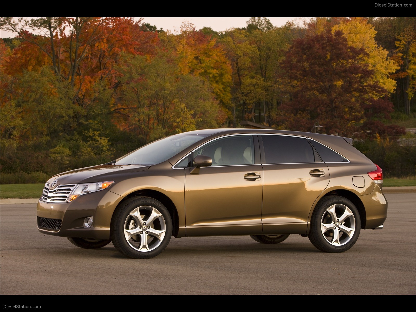 TOYOTA VENZA 2009 